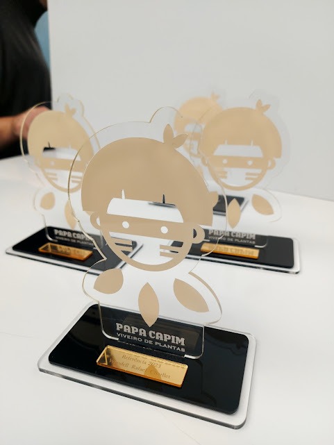 Troféus Personalizados em Acrílico – 20×15 cm – Corte a Laser - Imagem 8