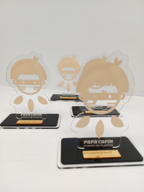 Troféus Personalizados em Acrílico – 20×15 cm – Corte a Laser - Imagem 2