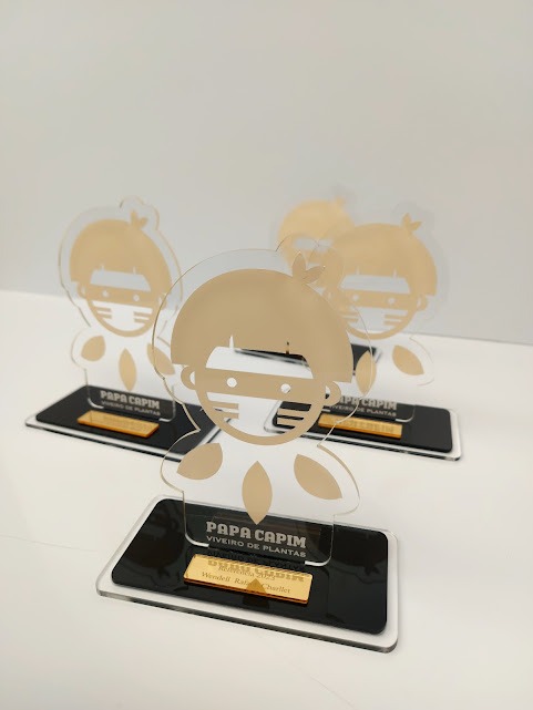 Troféus Personalizados em Acrílico – 20×15 cm – Corte a Laser - Imagem 3