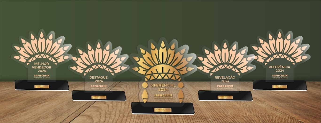 Troféus Personalizados em Acrílico – 20×15 cm – Corte a Laser - Imagem 5